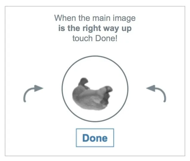 rotate this... image... of this... you know... so it's the right way up